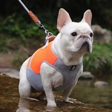 Летний охлаждающий жилет для собак Derby Summer Dog Cooling Vest PA0116-4, Orange, 37-48 см, 34 см, S