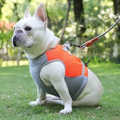 Летний охлаждающий жилет для собак Derby Summer Dog Cooling Vest PA0116-4, Orange, 37-48 см, 34 см, S