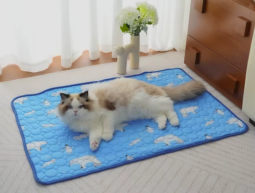 Літня охолоджуюча підстилка Derby Ice Silk Material Summer Pet Cooling Mat Polar bears для домашніх тварин, 55х70 см