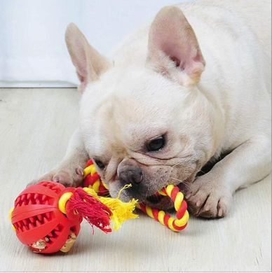 Іграшка для собак Derby Rubber Dog Chew Toy with Rope, Червоний, Small