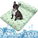 Охлаждающая подстилка с подушкой Derby Ice Silk Summer Pet Cooling Mat Avocado для домашних животных, 60х80 см