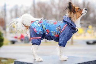 Комбинезон Smart Pet Роуз, 26-29 см, 46-57 см, S2m