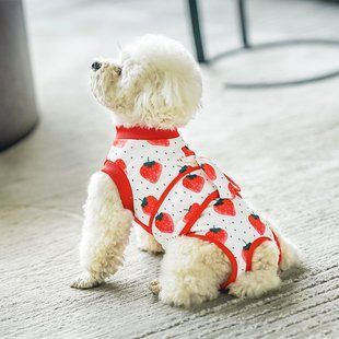 Костюм для восстановления после операции для собак VPETER Strawberry, 24 см, 42 см, 26 см, XS