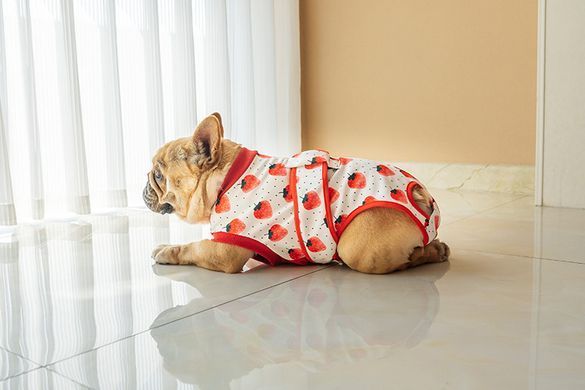 Костюм для восстановления после операции для собак VPETER Strawberry, 24 см, 42 см, 26 см, XS