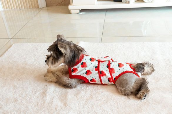 Костюм для восстановления после операции для собак VPETER Strawberry, 24 см, 42 см, 26 см, XS