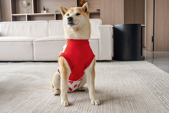 Костюм для восстановления после операции для собак VPETER Strawberry, 24 см, 42 см, 26 см, XS