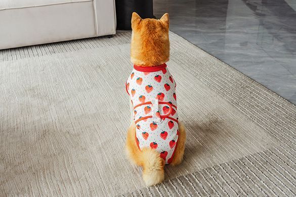 Костюм для восстановления после операции для собак VPETER Strawberry, 24 см, 42 см, 26 см, XS