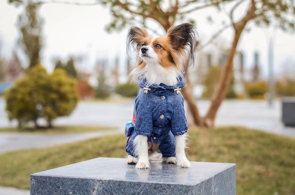 Комбинезон Smart Pet Роуз, 26-29 см, 46-57 см, S2m