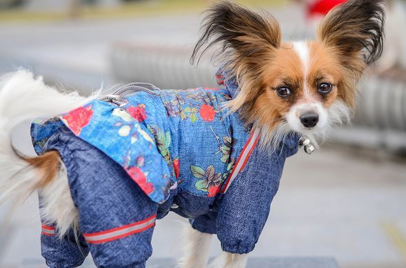 Комбинезон Smart Pet Роуз, 26-29 см, 46-57 см, S2m