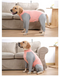 Піжама/попона для собак MOFESIPI Recovery Suit Pink&Grey, 46 см, 68 см, S
