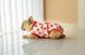 Костюм для восстановления после операции для собак VPETER Strawberry, 24 см, 42 см, 26 см, XS