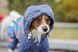 Комбинезон Smart Pet Роуз, 26-29 см, 46-57 см, S2m
