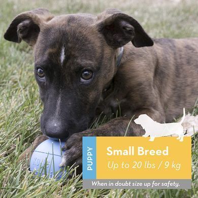 Мяч для щенков KONG Puppy Ball, Голубой, Small