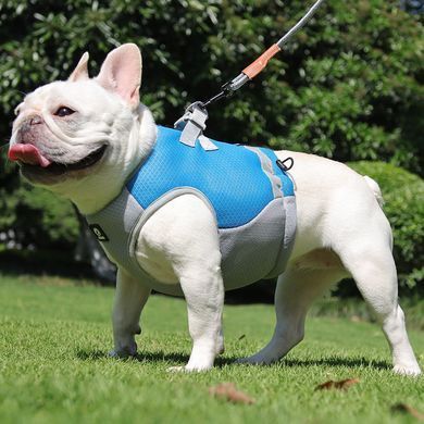 Літній охолоджуючий жилет для собак Derby Summer Dog Cooling Vest PPA0116-4, Blue, 37-48 см, 34 см, S