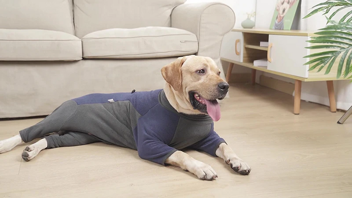 Флисовый комбинезон для собак Wan Talk Dog Clothes Cold Proof, Bluish Grey, 66-76 см, 94-106 см, 3XL