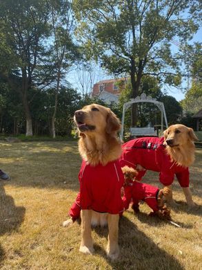 Комбинезон-дождевик для собак Derby Dog Suit Red, 31-36 см, 31-41 см, 23-29 см, S