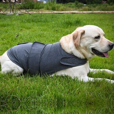 Успокаивающий жилет для собак WanTalk Dog Anxiety Jacket, Dark Grey, 38 см, 56-88 см, 50-63 см, XL