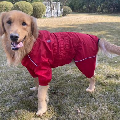 Комбинезон-дождевик для собак Derby Dog Suit Red, 31-36 см, 31-41 см, 23-29 см, S