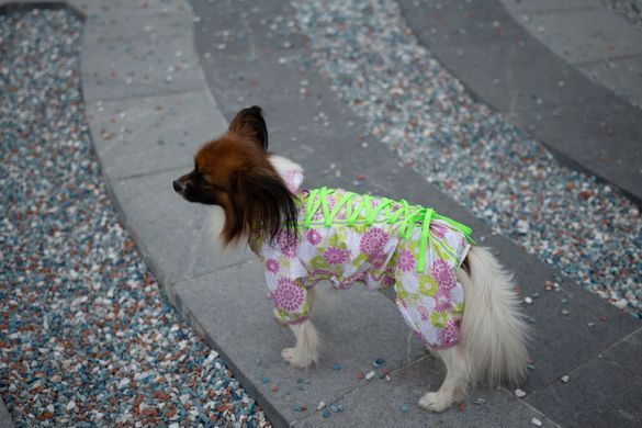 Комбинезон Smart Pet Florist, 34-37 см, 51-68 см, M1