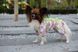 Комбинезон Smart Pet Florist, 34-37 см, 51-68 см, M1