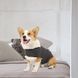 Успокаивающий жилет для собак WanTalk Dog Anxiety Jacket, Dark Grey, 38 см, 56-88 см, 50-63 см, XL