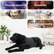 Успокаивающий жилет для собак WanTalk Dog Anxiety Jacket, Dark Grey, 38 см, 56-88 см, 50-63 см, XL