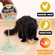 Кремовый влажный корм для кошек UNIQ PETS CAT WET FOOD DELIGHT SHAKE с курицей и медовой дыней, 60 г