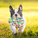 М'яке фрізбі для собак Derby Pet Garden - Cotton Rope Dog Frisbee Toy