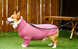 Пижама/попона для собак Derby Breathable Pet Recovery Suite, Pink, 65-72 см, 88-105 см, 3XL