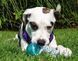 Игрушка-канат для собак Nylon Dog Rope Toy Kit