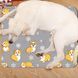 Охлаждающий коврик для собак и кошек Grey Corgi Summer Cooling Mat, 60х90 см