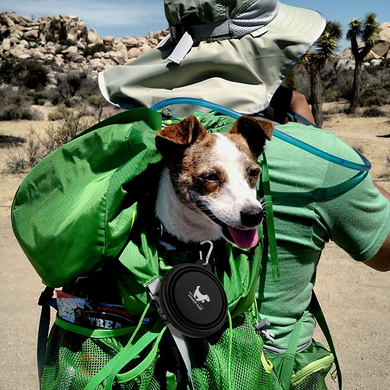 Складна силіконова миска для собак Rest-Eazzzy Collapsible Bowls for Travel, Черный, 1 л