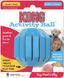 М'яч для ласощів для цуценят KONG Puppy Activity Ball, Блакитний, Small
