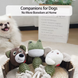 М'яка іграшка для собак Derby Bear Shape TPR + Rope Dog Toy