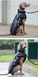 Світловідбиваюча зимова товста куртка для собак My World - My Rules, Black/Grey, 42 см, 53 см, 46 см, XL
