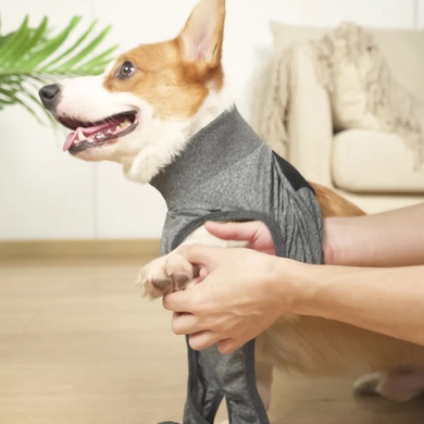 Гігієнічні труси/комбінезон для собак WanTalk Full Body Dog Diaper, Grey, 65-72 см, 88-105 см, 3XL
