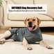 Гігієнічні труси/комбінезон для собак WanTalk Full Body Dog Diaper, Grey, 65-72 см, 88-105 см, 3XL