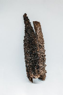 Рубец говяжий (хрустящие чипсы), говядина, 100 г, Малые, Средние