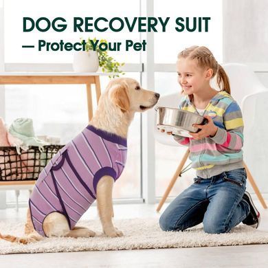 Попона для відновлення собак Wan Talk Recovery Suit, Violet Stripe, 25 см, 33-40 см, 27 см, XS
