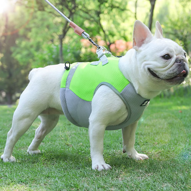 Літній охолоджуючий жилет для собак Derby Summer Dog Cooling Vest PPA0116-4, Green, 37-48 см, 34 см, S