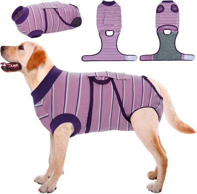 Попона для відновлення собак Wan Talk Recovery Suit, Violet Stripe, 25 см, 33-40 см, 27 см, XS