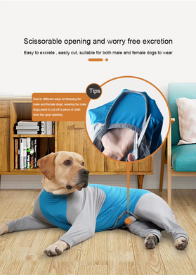 Піжама/попона для собак MOFESIPI Recovery Suit Blue&Grey, 46 см, 68 см, S