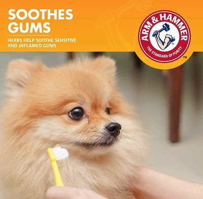 Энзимная зубная паста для собак Arm & Hammer Clinical Gum Health со вкусом курицы, 67,5 г