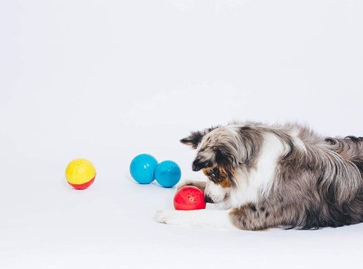 Інтерактивна іграшка-м'яч для собак Pet Qwerks Talking Babble Ball, Small