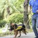 Поясная сумка для выгула собак Voyager Pet LVC809 Yellow с держателем для бутылки