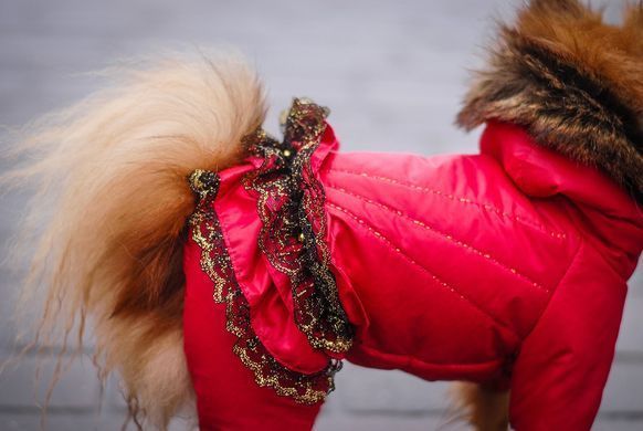 Комбинезон Smart Pet Glamour, 26-29 см, 40-45 см, S