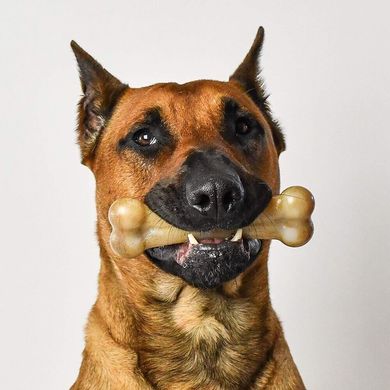 Жорстка нейлонова кістка для собак Pet Qwerks Flavor Farms Chew Toys з ароматом бекону, Large, 1 шт.