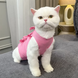 Одежда для кошек после операции Holley Bow-knots Pink, 32 см, 40 см, M