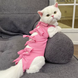 Одежда для кошек после операции Holley Bow-knots Pink, 32 см, 40 см, M