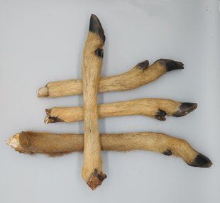 Нога косулі з хутром, 1 шт., косуля, 1 шт.